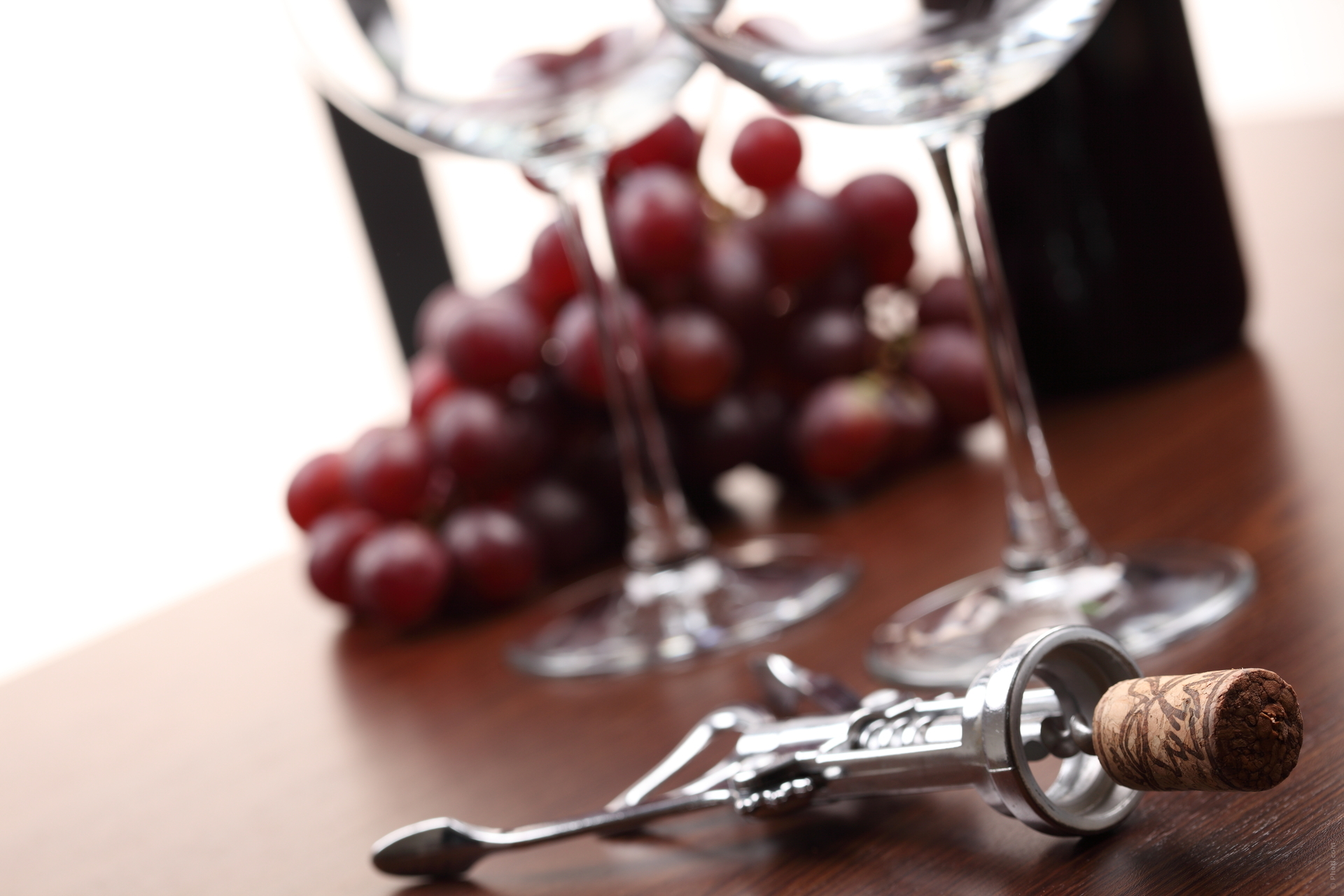 Uvas de los vinos tintos cordobeses
