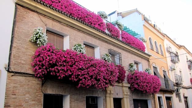 El tradicional Concurso de Rejas y Balcones de Córdoba