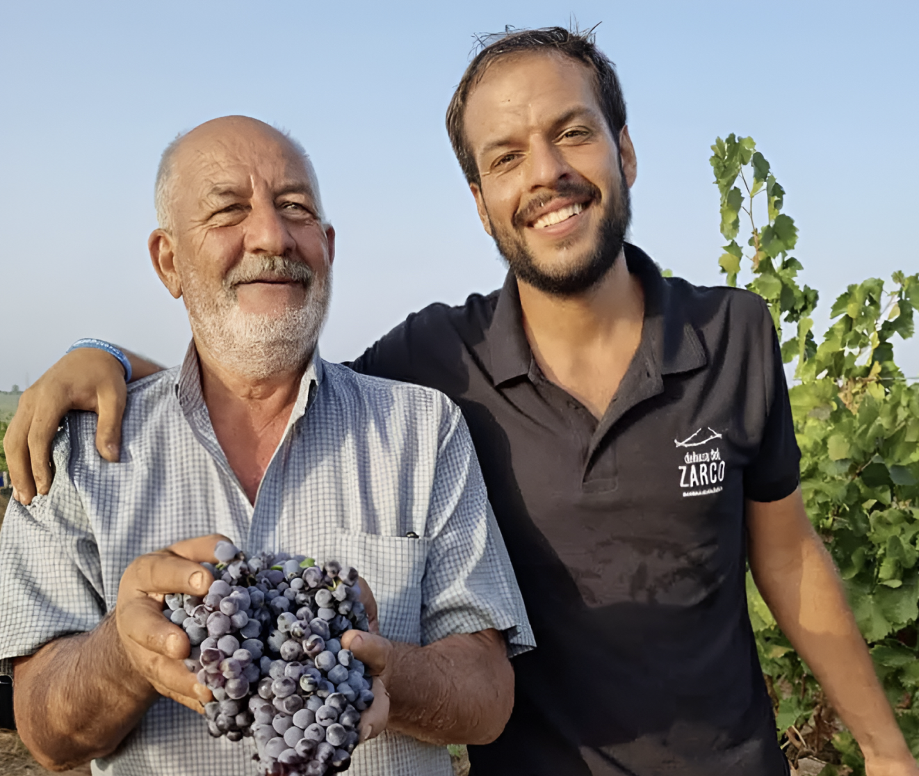 Bodegas Mezquita uvas