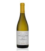 Finca La Cañada | Montilla-Moriles | Verdejo