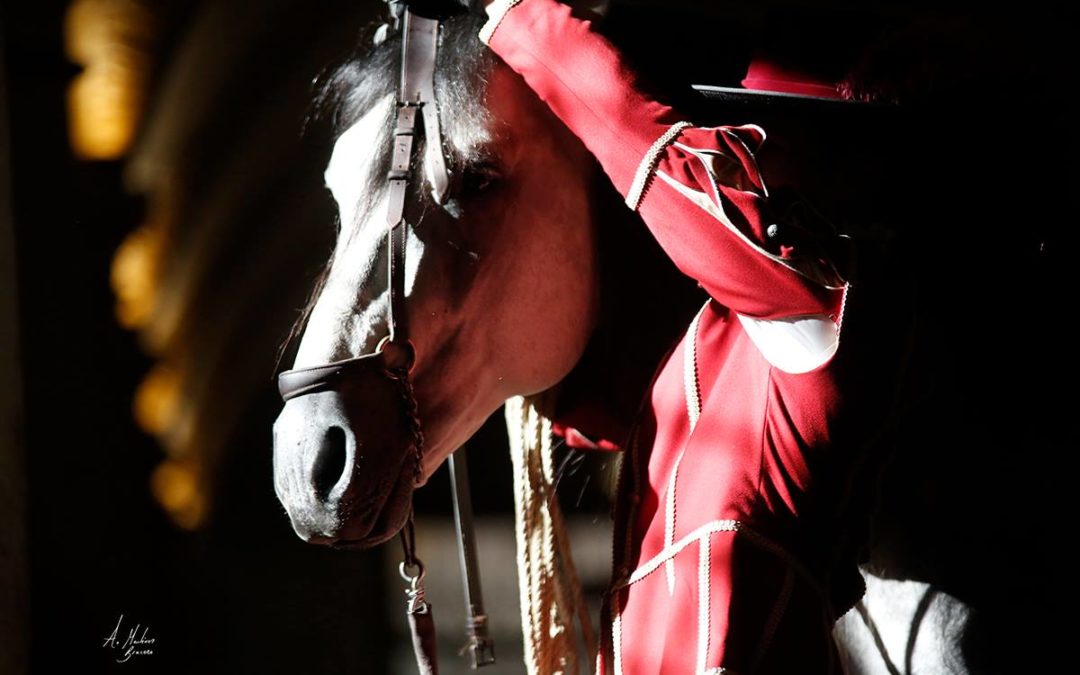 CABALCOR 2018, la feria del caballo en Córdoba