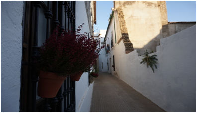 El festival de las callejas de Córdoba