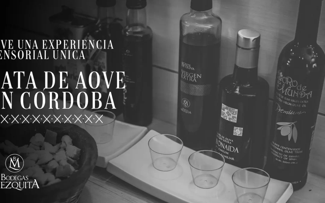 Cata de AOVE en Córdoba