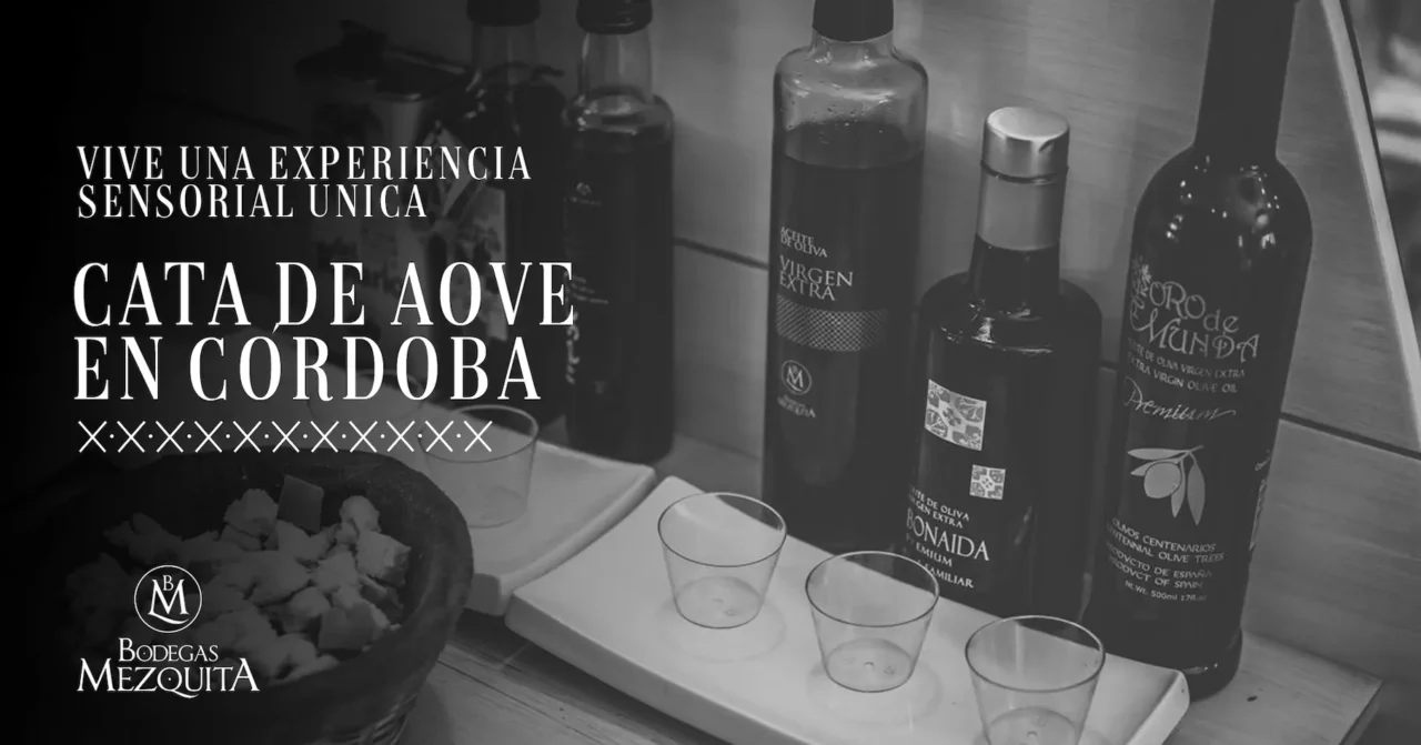 Cata de AOVE en Córdoba