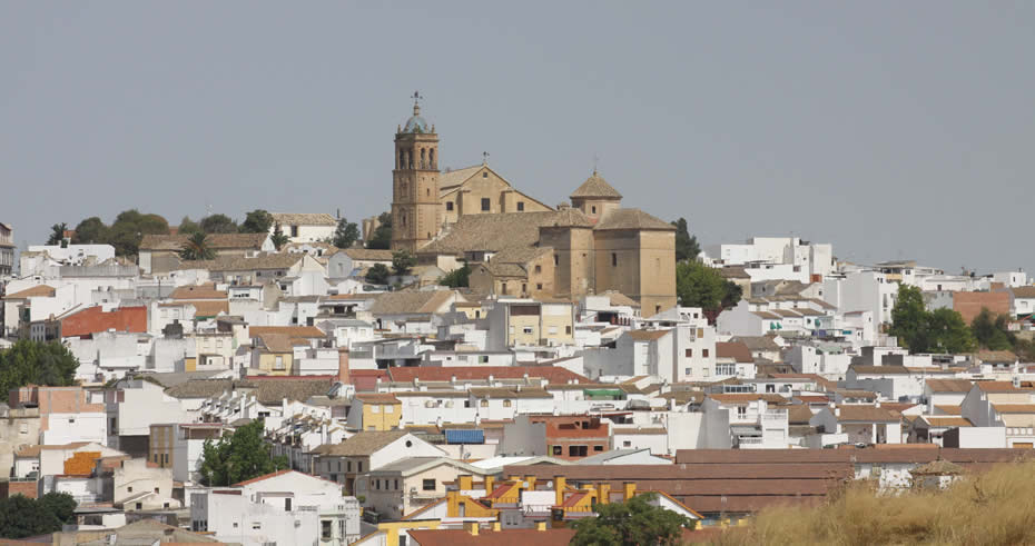 Descubriendo la Provincia: Montilla