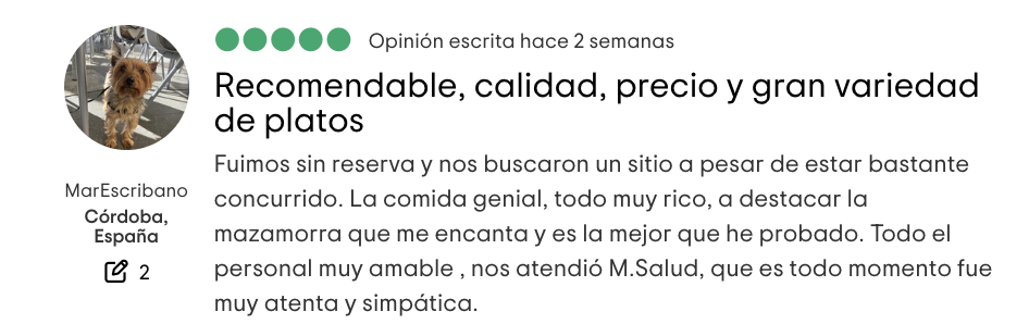 reseña a las ..