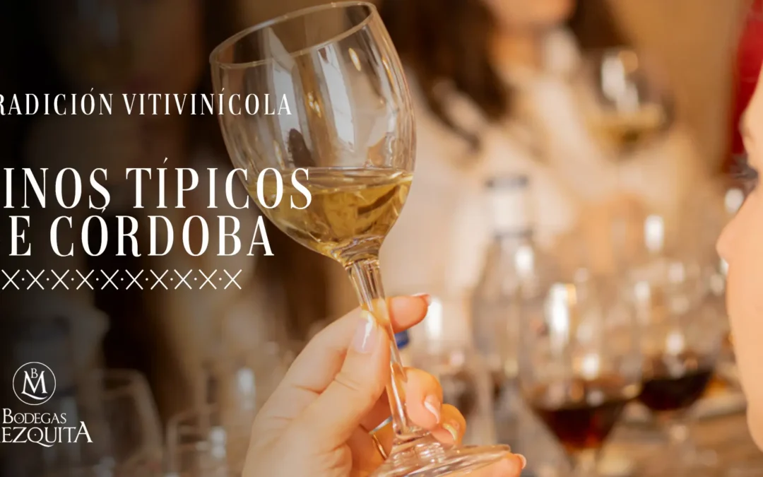 Vinos típicos de Córdoba: un viaje sensorial por su tradición vitivinícola